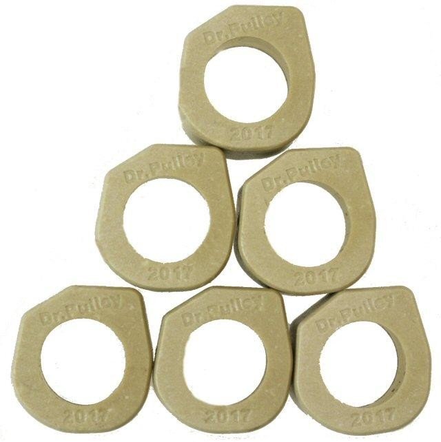 Dr. Pulley 20x17 Sliding Roller Weights, 169-286