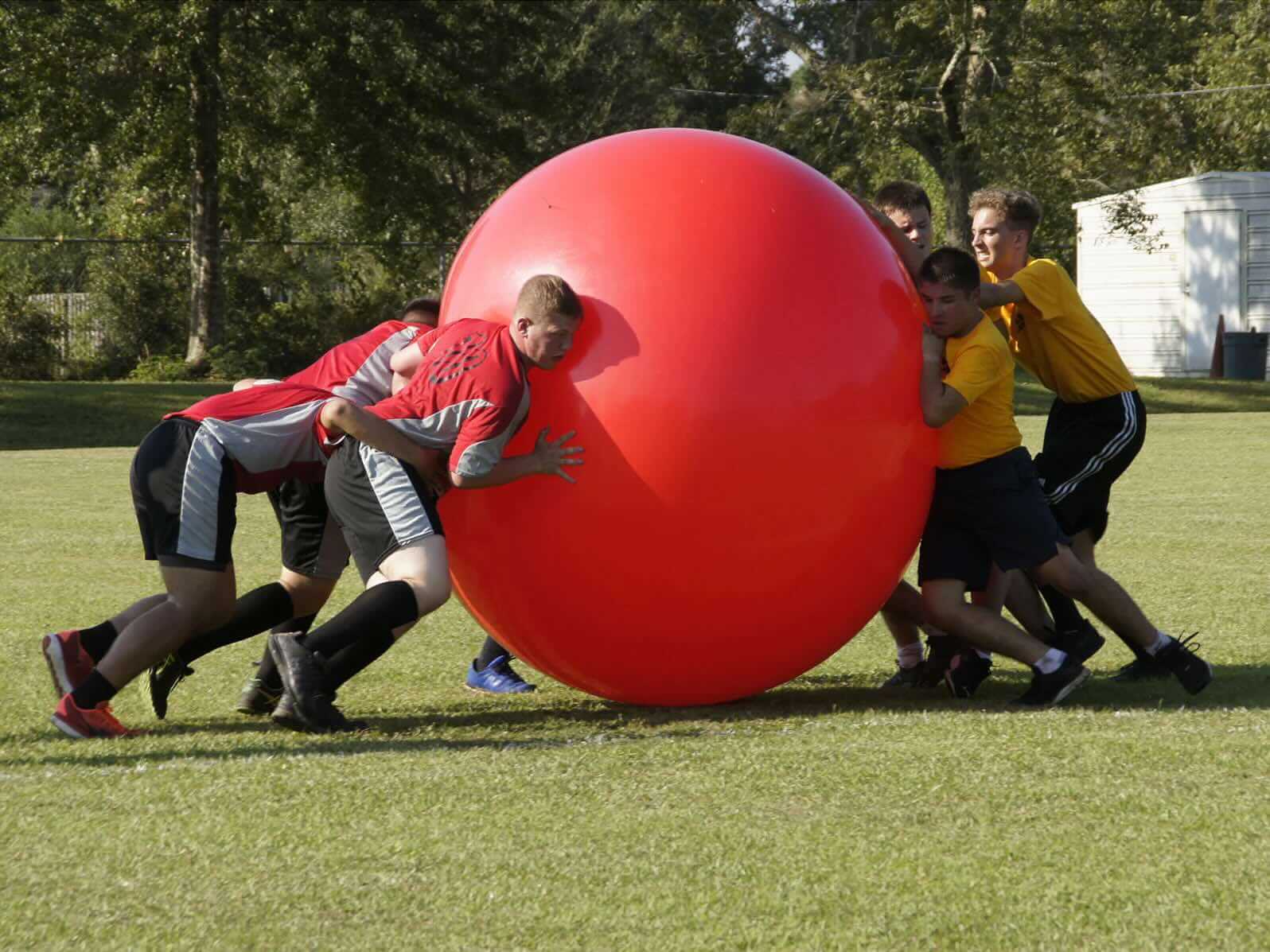 Gymnic MEGABALL, Group Activity Fitness Exercise Ball