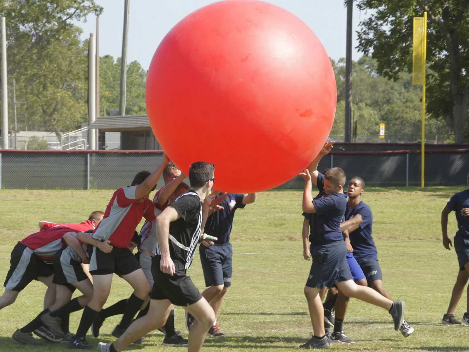 Gymnic MEGABALL, Group Activity Fitness Exercise Ball