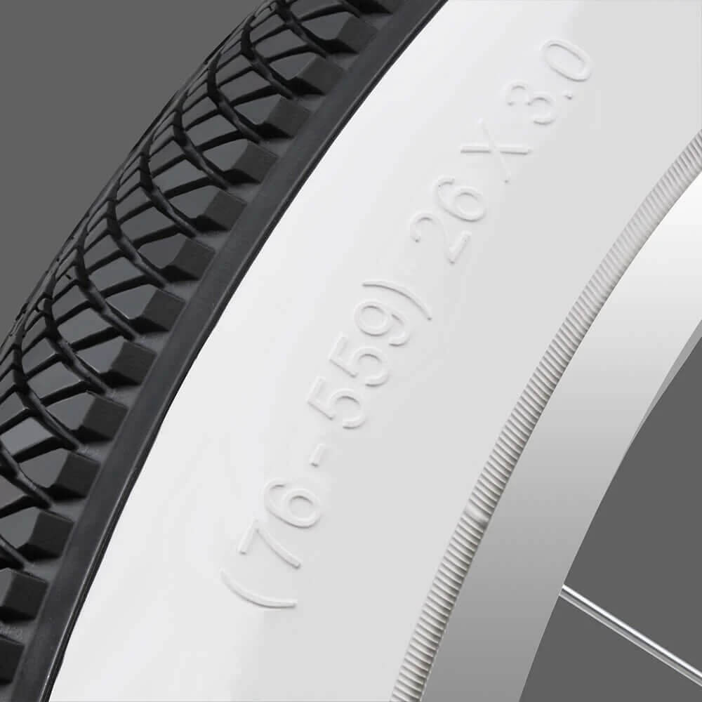 Tracer TR-WD-W1111 SINGLE TIRE for Bikes