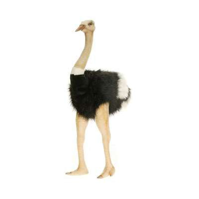 Hansa Creations MALE OSTRICH 32'' Tall Handcrafted Stuffed Animal Toy, 3268