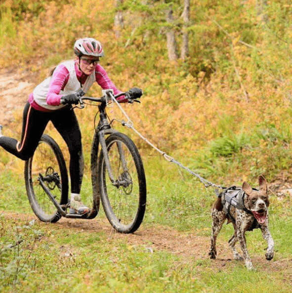 Kickbike America DOG LINE Premium Mushing Quality