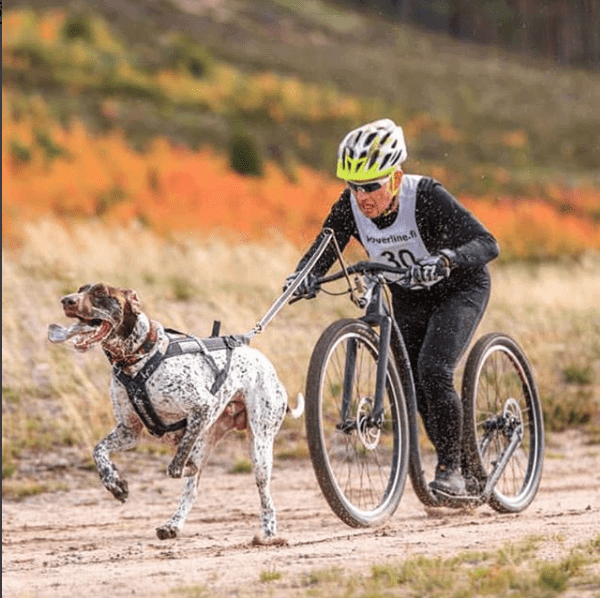 Kickbike America DOG LINE Premium Mushing Quality