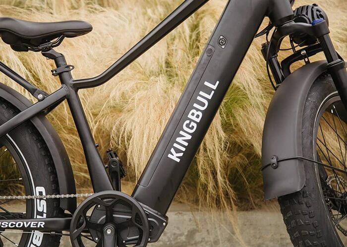 2024 KingBull DISCOVER 750W 48V Fat Tire Suspension Electric Bike