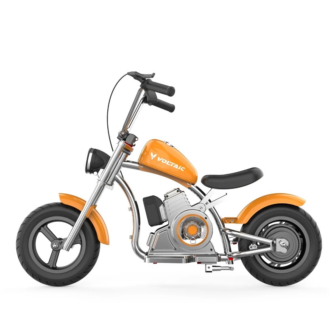 Voltaic 12'' ZAPZOOM 20V 4AH Aluminium Alloy Kids Electric Motorcycle