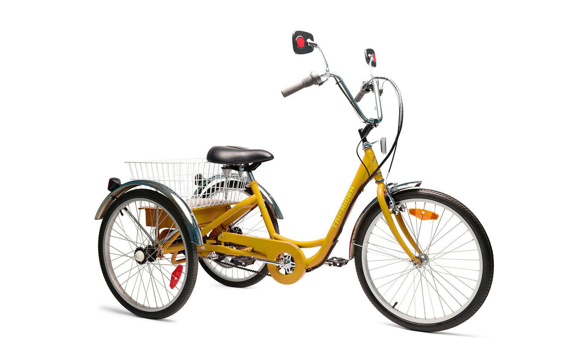 2024 Belize Tri-Rider Elek-Trike 450W 3 Speed Electric Tricycle, 98183 ...