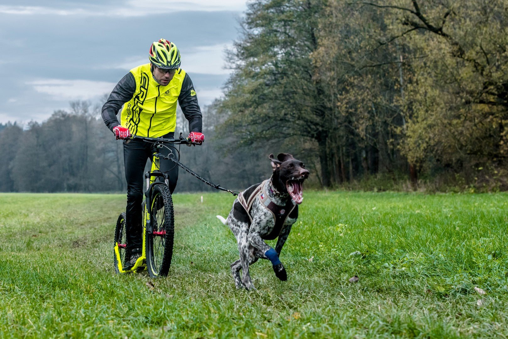 Crussis COBRA Adult Sport Mushing Kick Scooter Off-Road Foot Bike - Upzy.com