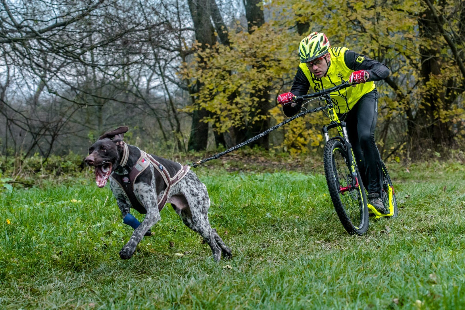 Crussis ONE COBRA Adult Sport Mushing Kick Scooter Off-Road Foot Bike - Upzy.com