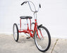 Trailmate Desoto Classic 20" Adult Tricycle - Upzy.com