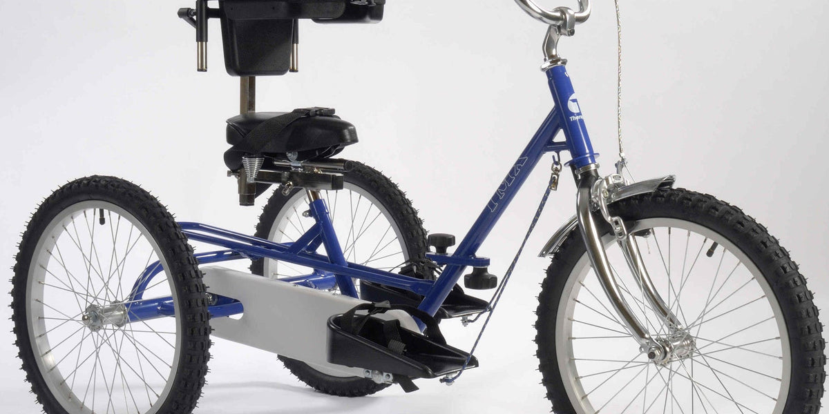 Tmx tricycle online