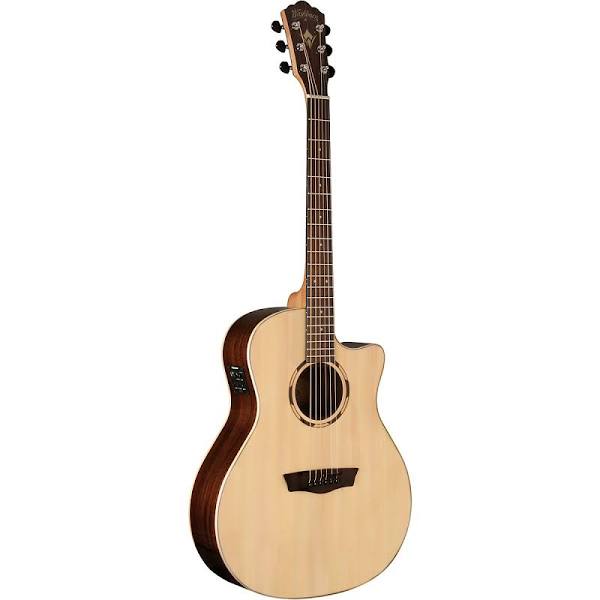 Washburn wlo10sce online